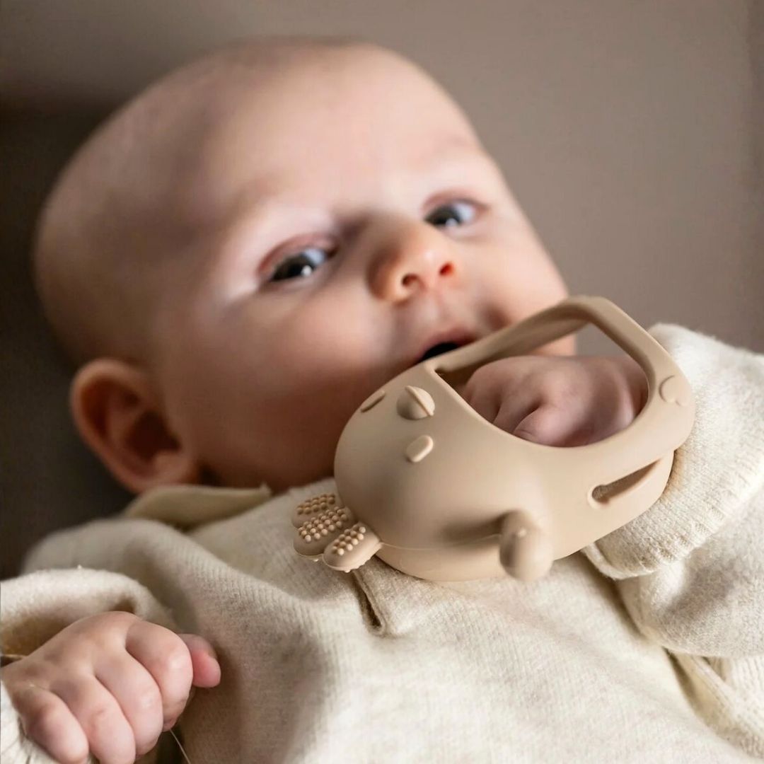 Mordedor Luvinha Mini Chicken